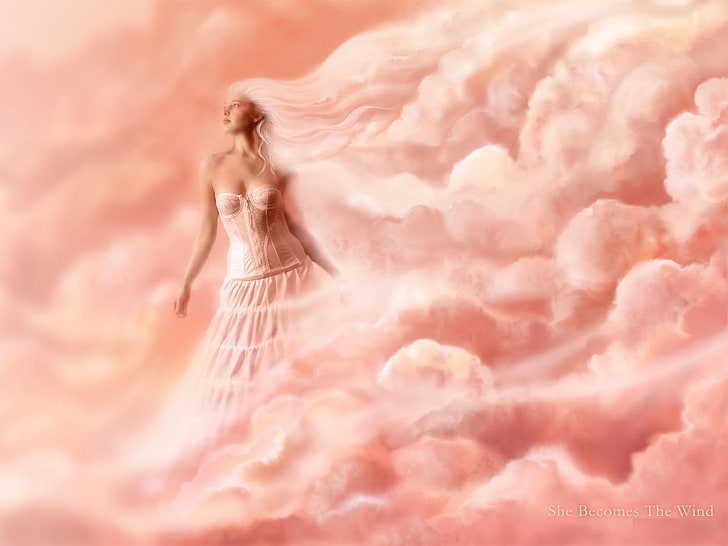 HD wallpaper: angel, cloud - sky, pink color, sunset, pattern, softness,  backgrounds | Wallpaper Flare