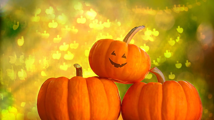 pumpkin, vegetable, squash, produce, orange, halloween, food, HD wallpaper