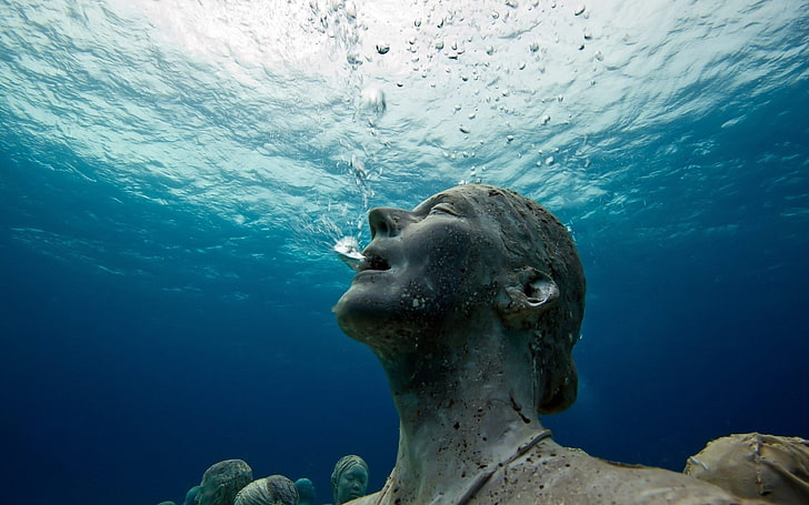 statue, underwater, sea, animal themes, undersea, animals in the wild, HD wallpaper