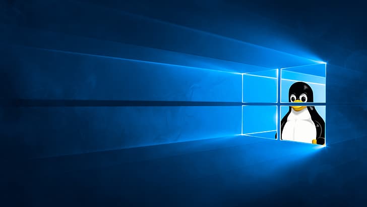 Windows 10, Tux, Linux, GNU HD wallpaper