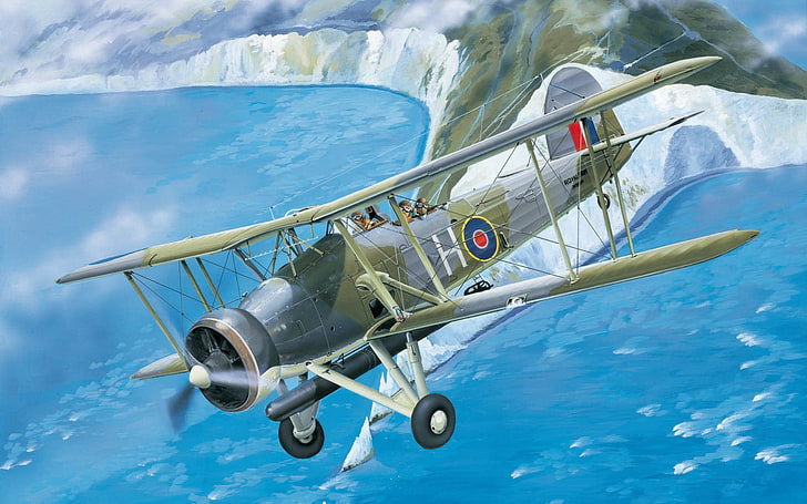 brown and gray airplane illustration, biplane, World War II, aircraft, HD wallpaper