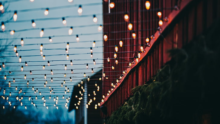 black string lights, shallow focus photo of string lights, christmas lights, HD wallpaper