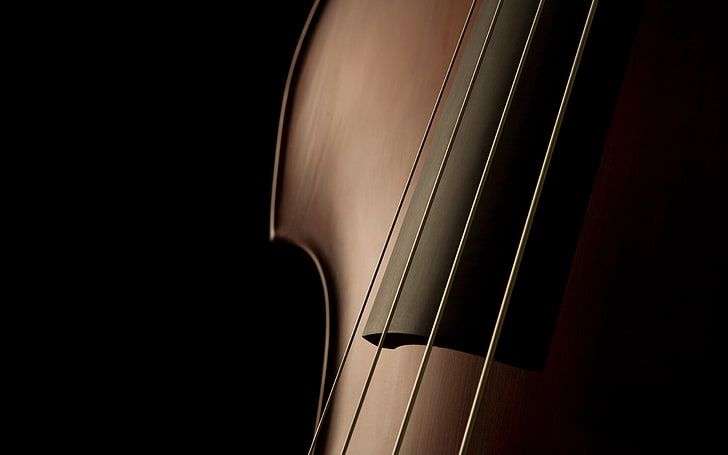 brown violin, shape, strings, elegant, refined, musical Instrument, HD wallpaper
