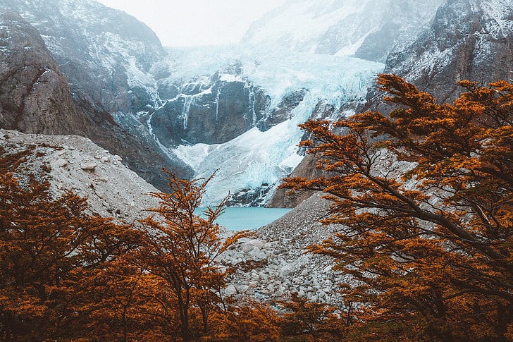 snow mountain, el chalten, argentina, mountains, lake, trees