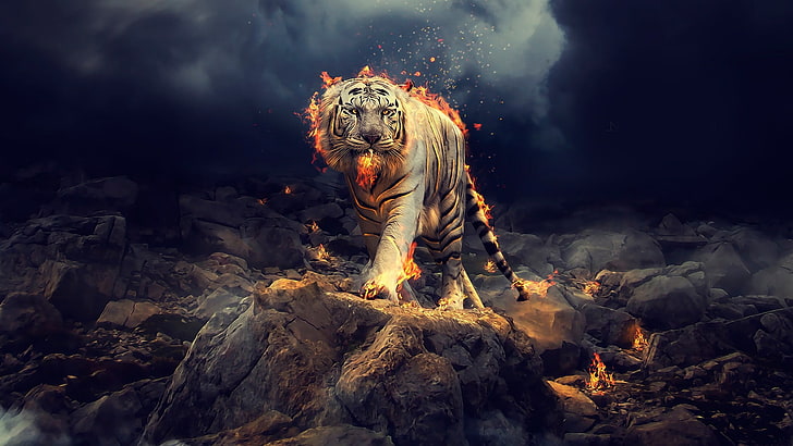 tiger, fire, art, digital art, darkness, artwork, white tiger, HD wallpaper