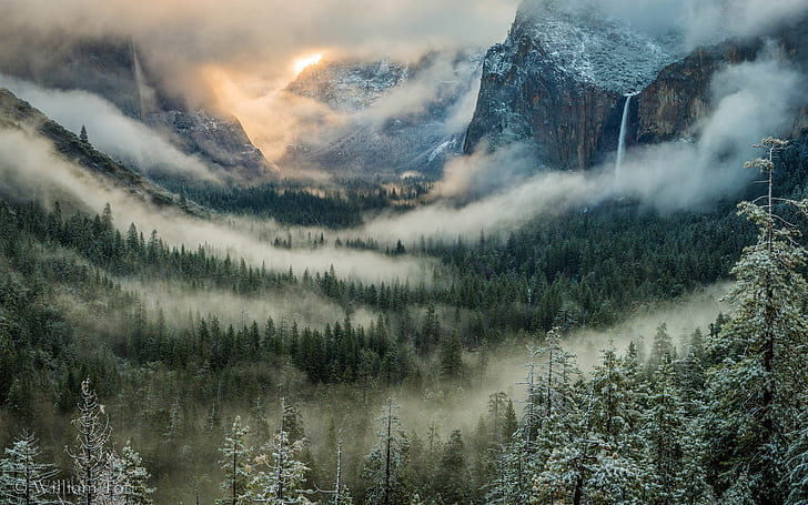 Yosemite Clouds Fog Mist Valley Trees Forest Landscape Mountains Waterfall Winter HD, green trees, HD wallpaper