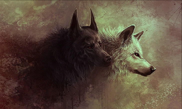 wolves wallpaper, wolf, white, black, animals, fantasy art, mammal, HD wallpaper