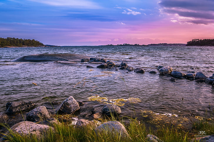 grass beside rocks at the sea, Sunset, Stockholm archipelago