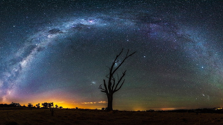 night, comet, galaxy, trees, stars, Milky Way, dead trees, landscape, HD wallpaper