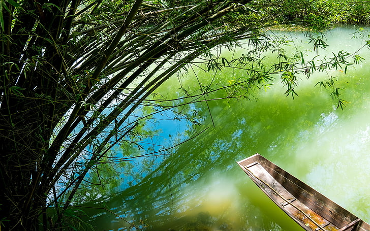 China Guizhou Libo Tourism Lake Scenery, water, plant, tree, reflection