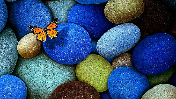 butterfly, stones, gravel, HD wallpaper