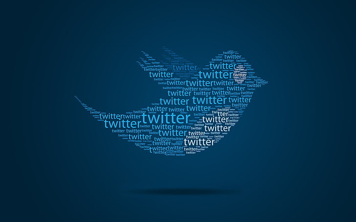 Twitter Bird Typo, blue Twitter logo, Computers, Others, data, HD wallpaper