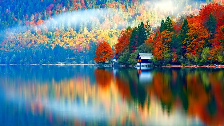 house and body of water, nature, landscape, trees, forest, fall