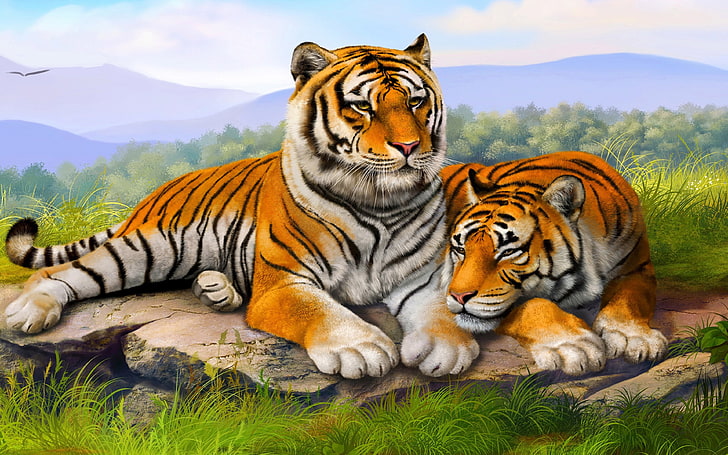 Tiger Couple Wallpaper Hd 3840×2400, animal themes, animal wildlife, HD wallpaper