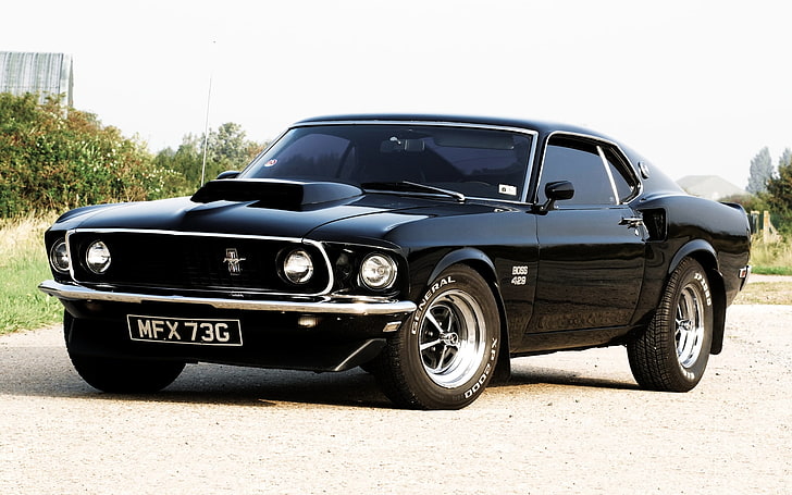 Hd Wallpaper Black Ford Mustang Fastback The Sky 1969 The Bushes The Front Wallpaper Flare
