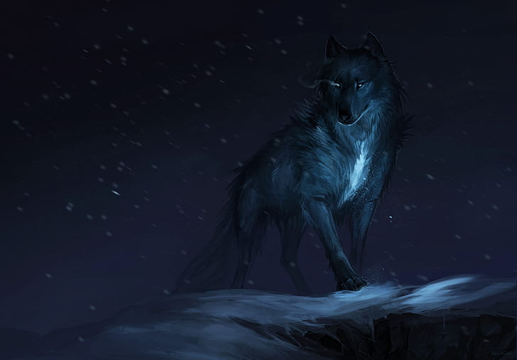 HD wallpaper: background, wolf, predator, beast | Wallpaper Flare