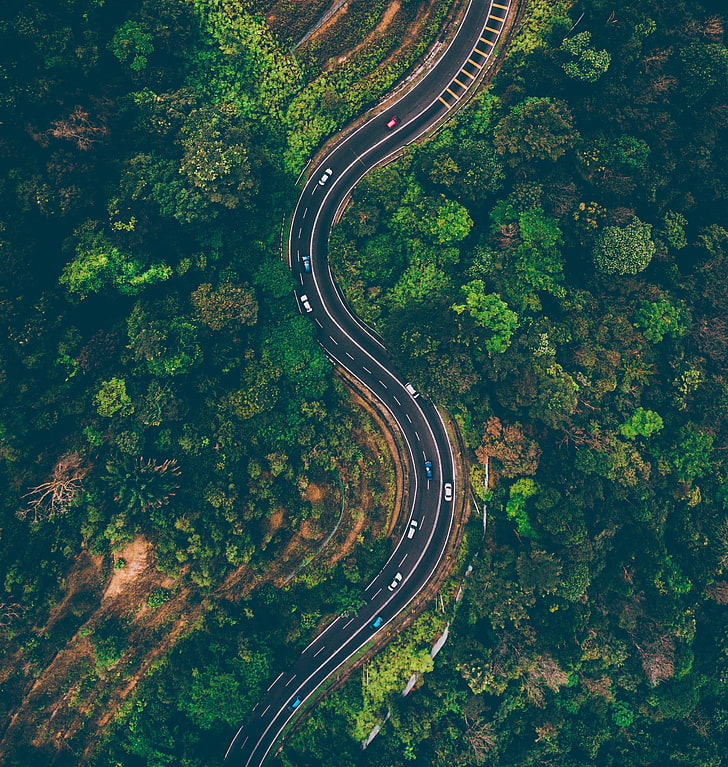 black asphalt road, view from above, trees, winding road, batang kali