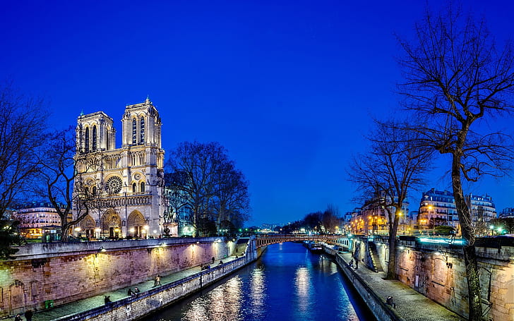 Notre Dame de Paris, France, city, night, trees, bridge, river, lights