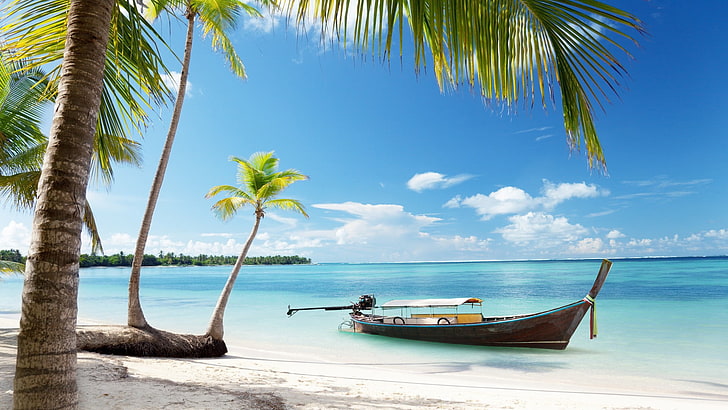 brown boat near shoreline, landscape, palm trees, sea, beach, HD wallpaper