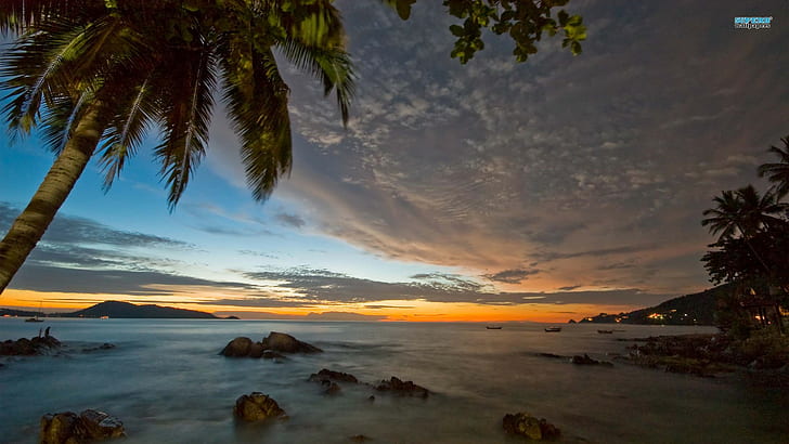 Tropical Coast Sunset Palm Tree Ocean Rocks Stones HD, nature, HD wallpaper