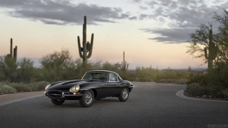 car, Jaguar E-Type, road, cactus, desert, transportation, mode of transportation