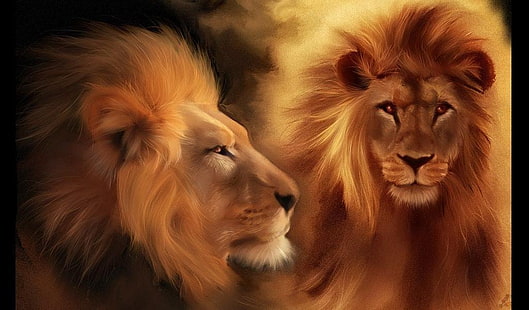 HD wallpaper: lions Animals beautiful couple eyes Head lion HD | Wallpaper  Flare