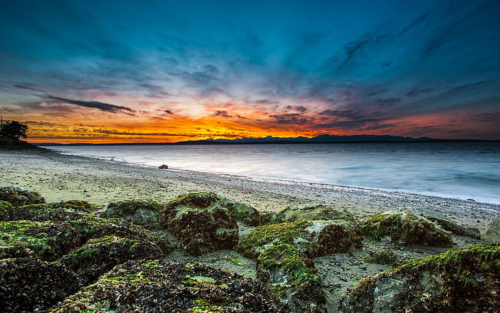 nature, landscape, sunset, coast, beach, seaweed, stones, long exposure, HD wallpaper
