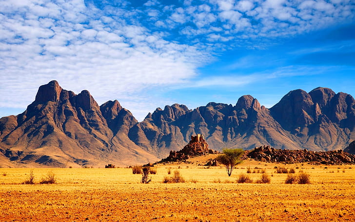 african savanna desktop background