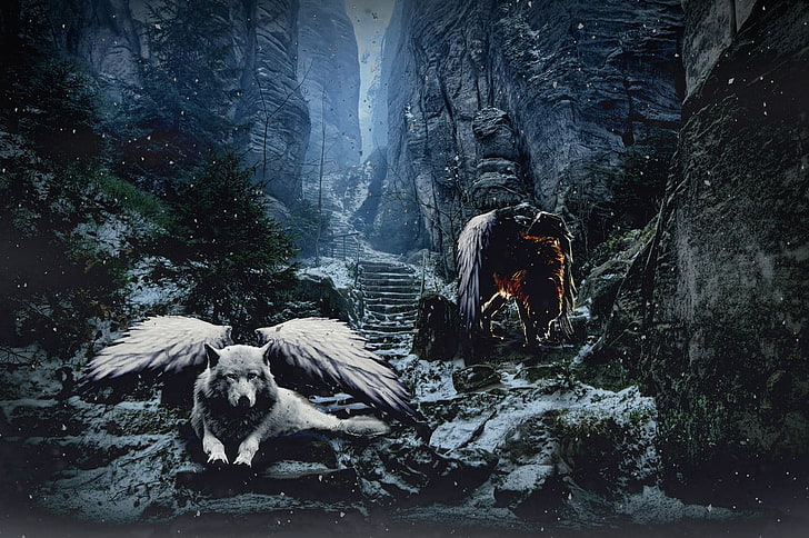 white wolf with wings digital wallpaper, snow, angel, demon, water, HD wallpaper