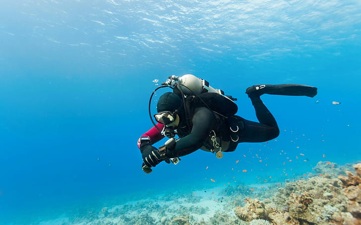 Diving recreational activity, black diving suit, diving equipment