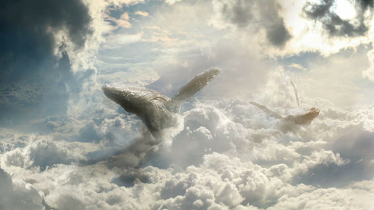 sky, fantasy art, clouds, whale, HD wallpaper