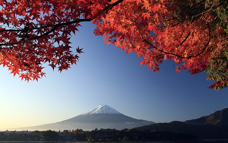 Mount Fuji, Mount Fuji, Japan, fall, leaves, mountains, volcano, HD wallpaper