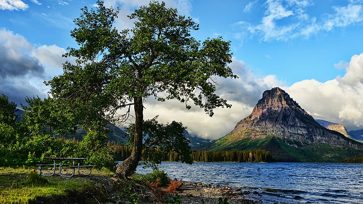Nature, Landscape, Mountain, Water, Lake, Trees, Montana, USA, Glacier National Park, Bench, Hill, HD wallpaper