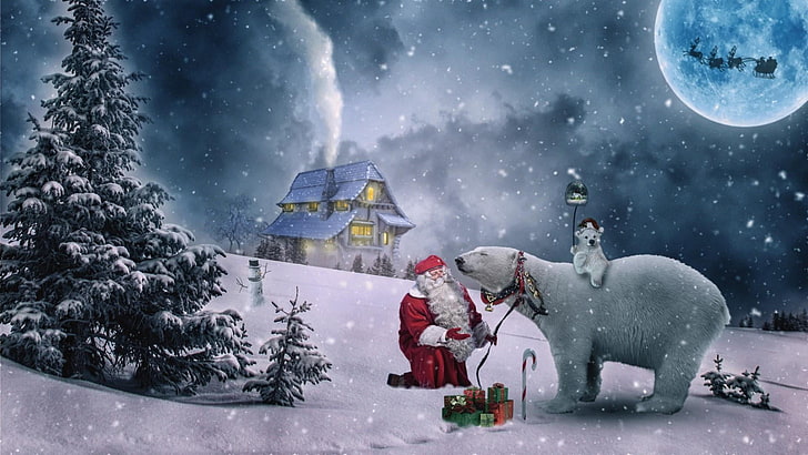 snow, winter, christmas, freezing, sky, polar bear, christmas tree, HD wallpaper