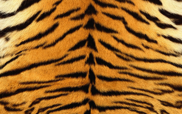 brown and black tiger hide, skin, stripes, fur, striped, animal, HD wallpaper