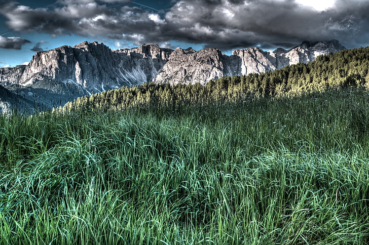 green leafed grass, mountains, hdr, nature, dolomites, outdoors, HD wallpaper
