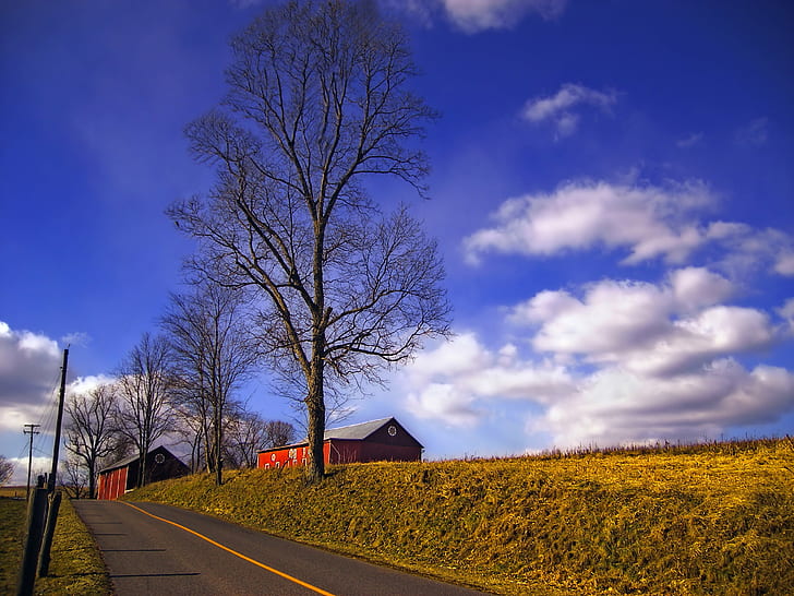 red barn houses beside a road with trees under a blue cloudy sky