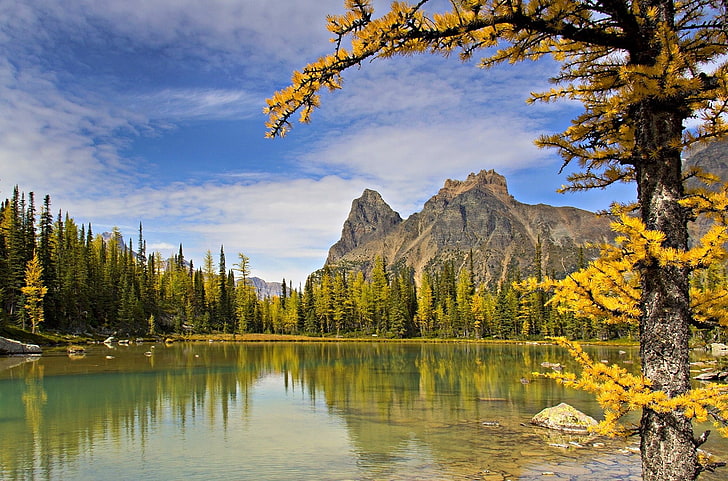 Hd Wallpaper Forest Lake Mountains Nature Landscape Fall Trees