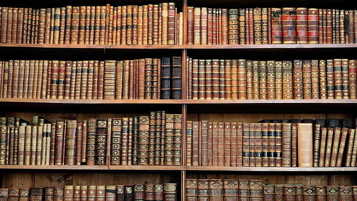 book, library, atheneum, old books, shelves, shelf, large group of objects, HD wallpaper