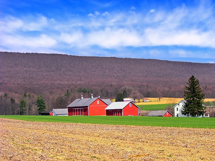 red wooden houses near brown hill during daytime, Slope, Pennsylvania