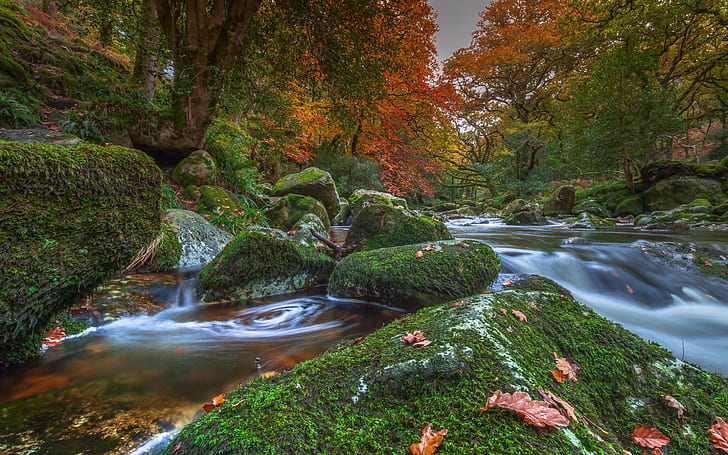 Dartmoor national Park, Devon, England, brown rock fragment, river, HD wallpaper