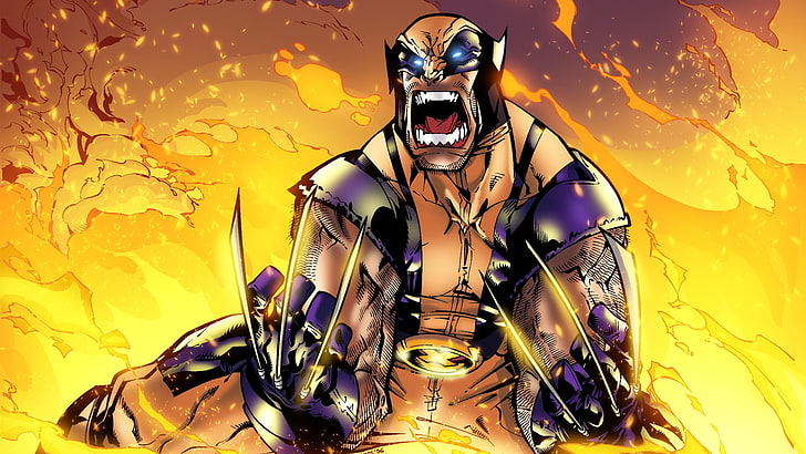Wolverine from X-Men illustration, fire, Marvel Comics, indoors, HD wallpaper