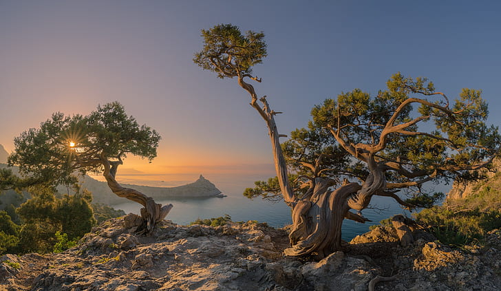 sea, trees, dawn, morning, Russia, Crimea, The black sea, New Light, HD wallpaper
