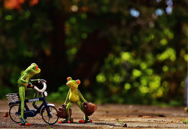 animal, arrive, bike, cute, fig, frog, frogs, fun, funny, go