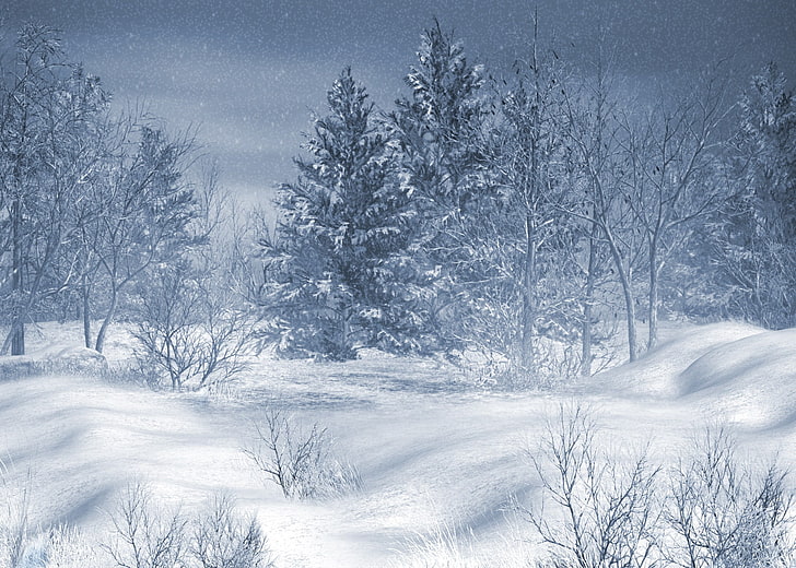 snow field, winter, artwork, nature, cold temperature, tree, plant
