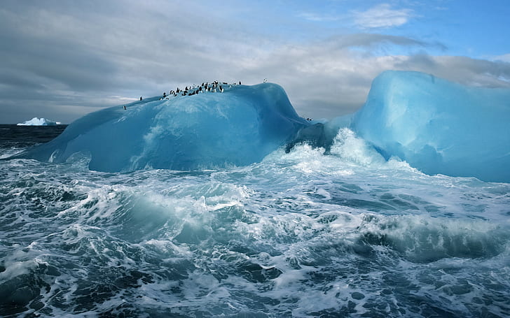 ice, penguins, animals, iceberg, nature, Arctic, sea, cyan, HD wallpaper