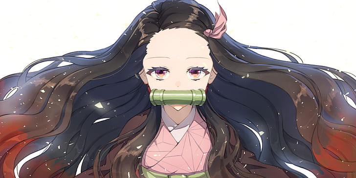 Anime, Demon Slayer: Kimetsu no Yaiba, Brown Hair, Girl, Long Hair