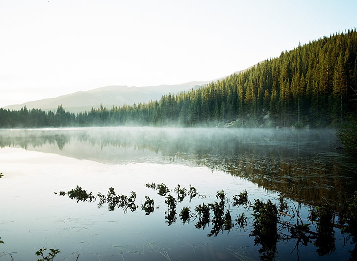 photography, nature, landscape, lake, mist, forest, hills, reflection, HD wallpaper