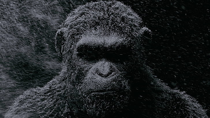 War for the Planet of the Apes, movies, Andy Serkis, Caesar, HD wallpaper