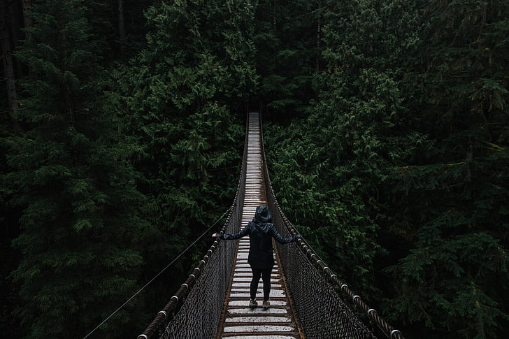 gray wooden hanging bridge, suspended, trees, people, loneliness
